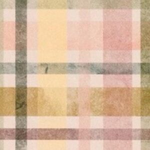 Meet your Posher, Shan